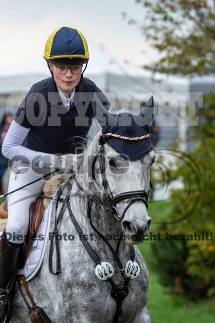 Goldene Schärpe 2020 - Pferde