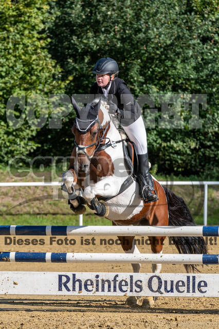 RFV Dinslaken-Hiesfeld (Herbstturnier)
