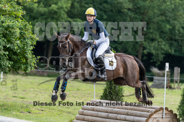 Goldene Schärpe 2021 - Ponys