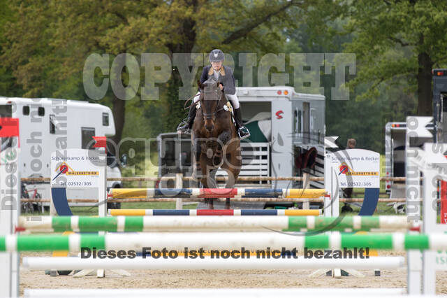 Sterne über Münster 2019 - CCI***S