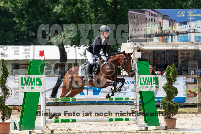 Goldene Schärpe 2021 - Ponys
