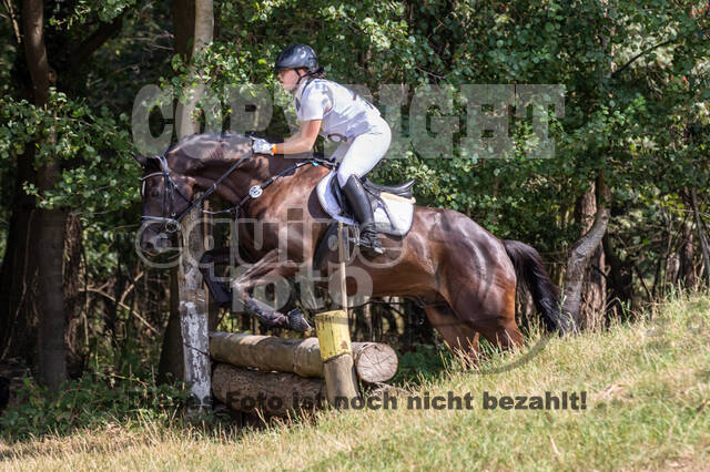 Late-Entry Vielseitigkeit Hamminkeln/Wesel (01.+02.08.2020)
