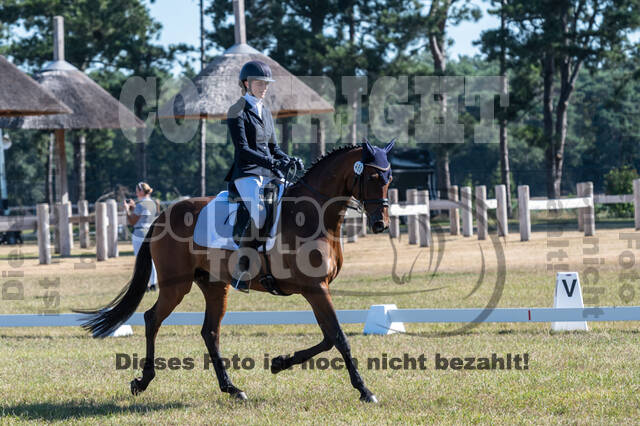 Kronenberg - De Peelbergen (August 2020)