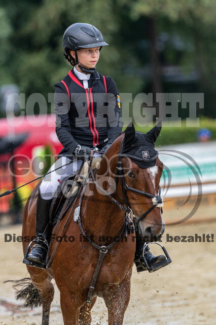 Goldene Schärpe 2021 - Ponys