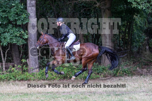 Late-Entry Vielseitigkeit Hamminkeln/Wesel (01.+02.08.2020)