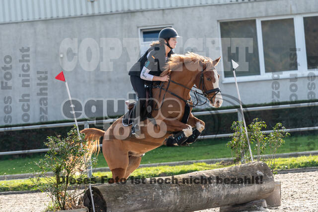IGV Lehrgang der Sieger der Cups mit Frank Ostholt