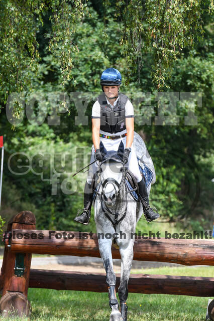 Late-Entry-Vielseitigkeit Langenfeld (11.+13./14.06.2020)