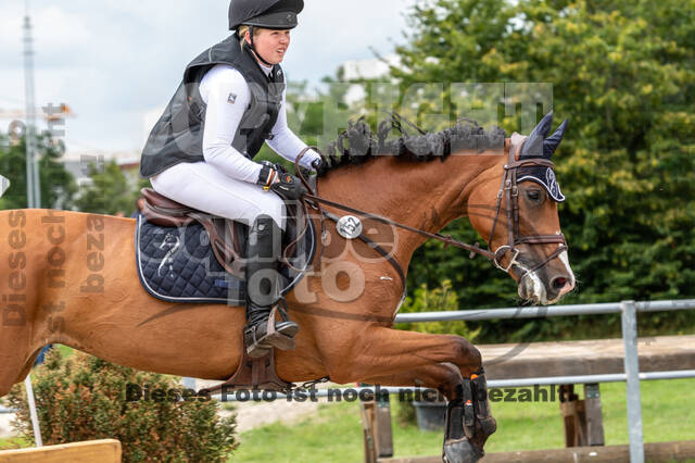 Late-Entry-Vielseitigkeit Langenfeld (06.+07.07.2020)