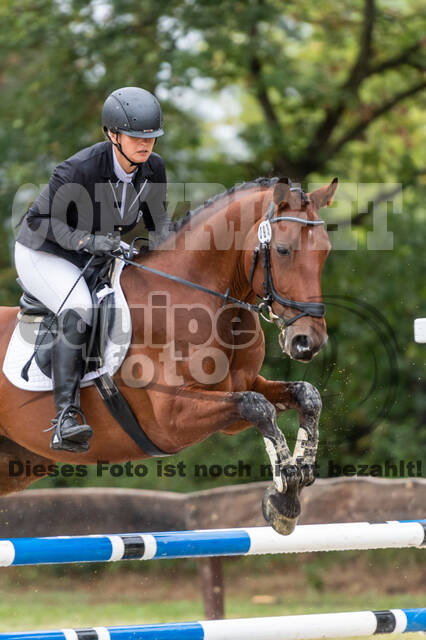 Vielseitigkeit RSV Wesel Obrighoven (26.+27.09.2020)