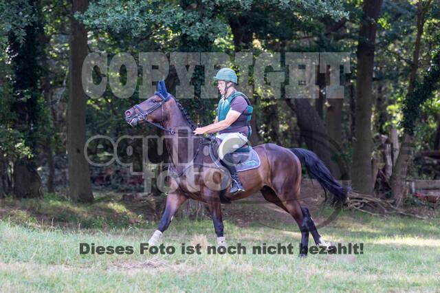 Late-Entry Vielseitigkeit Hamminkeln/Wesel (01.+02.08.2020)