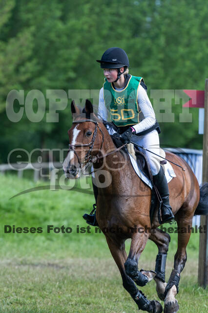 Westerstede Horse Trials (10.-13.06.2021)