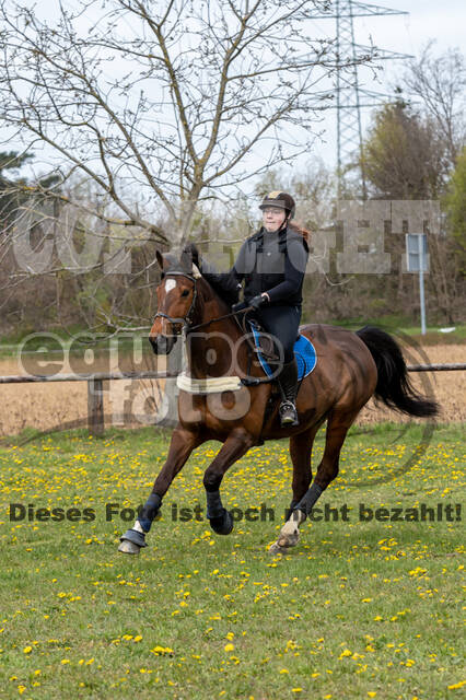 Geländetraining ZRFV Hamminkeln (24+25.04.2021)