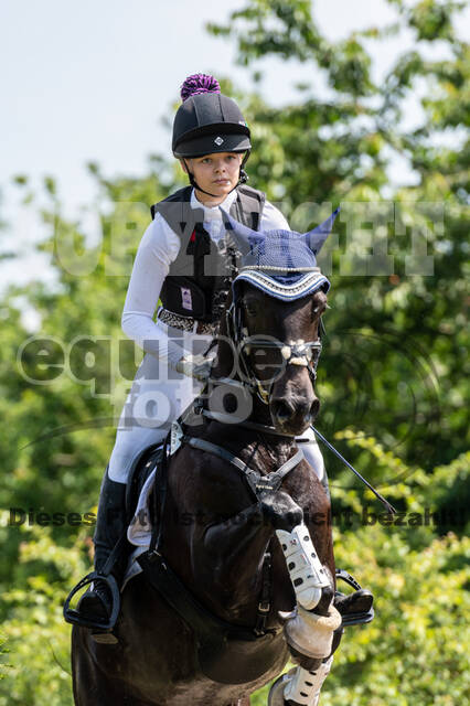 Goldene Schärpe 2021 - Ponys