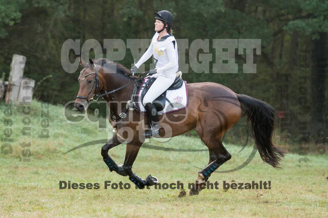 Vielseitigkeitsturnier RSV St. Hubertus Wesel Obrighoven