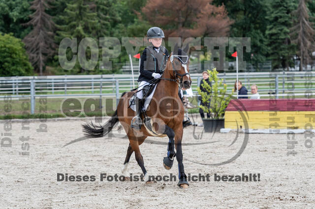 Late-Entry-Vielseitigkeit Langenfeld (06.+07.07.2020)