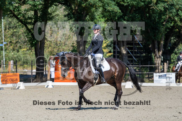 Kronenberg - De Peelbergen (August 2020)