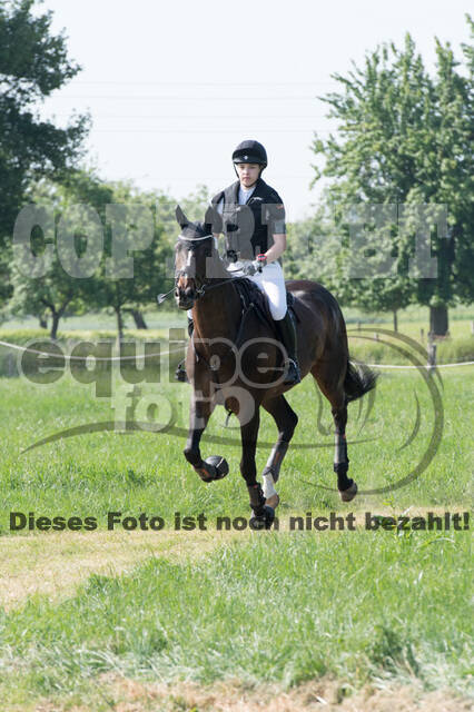 Vielseitigkeitsturnier ZRuFV von Lützow Hamminkeln