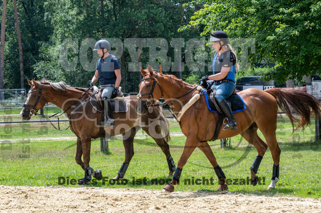 Hunter Geländetraining 10.07.2021 (Sonsbeck)