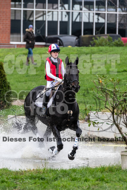 Goldene Schärpe 2020 - Pferde