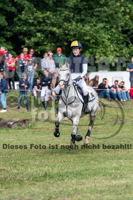 Goldene Schärpe 2021 - Ponys