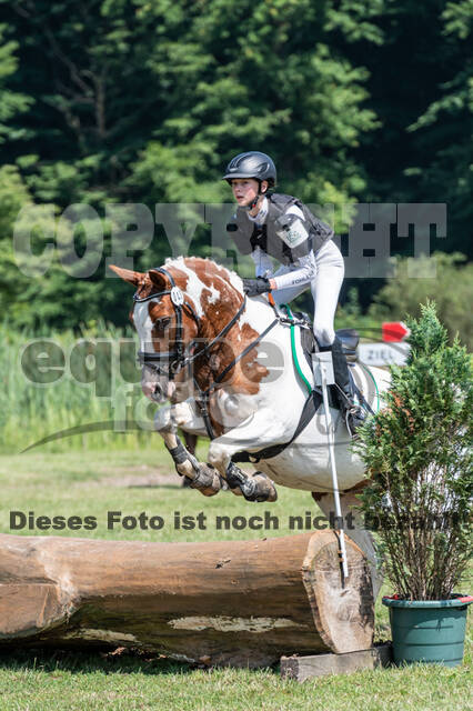 Goldene Schärpe 2021 - Ponys