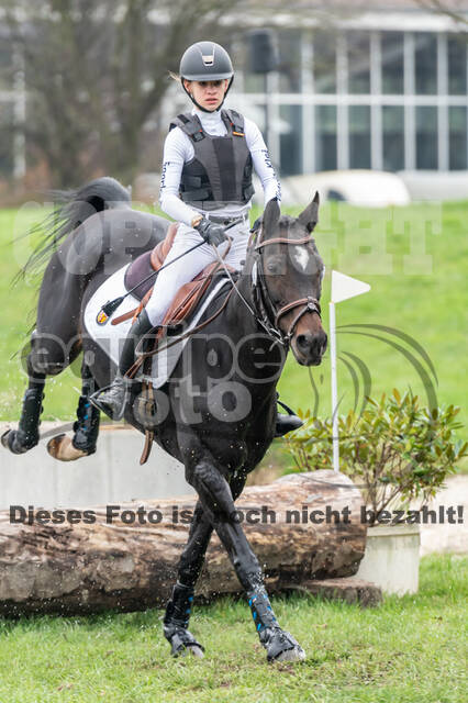 Goldene Schärpe 2020 - Pferde