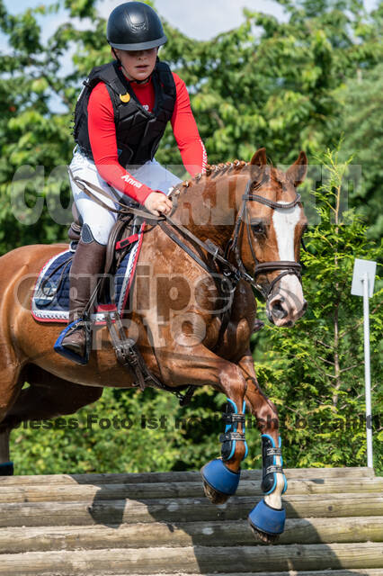 Goldene Schärpe 2021 - Ponys