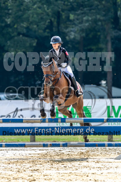 Goldene Schärpe 2021 - Ponys