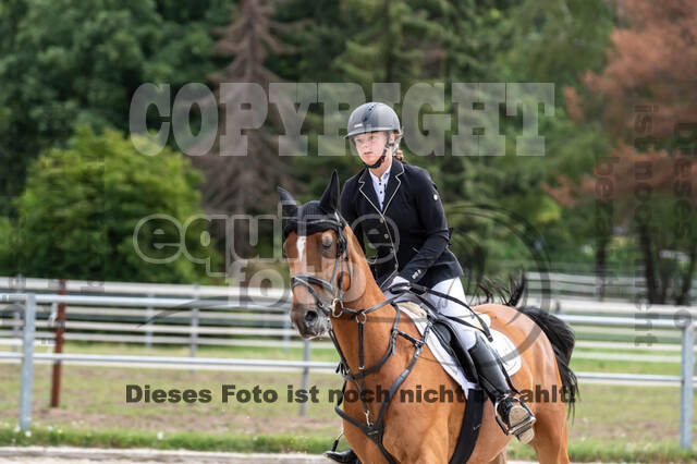 Late-Entry-Vielseitigkeit Langenfeld (06.+07.07.2020)