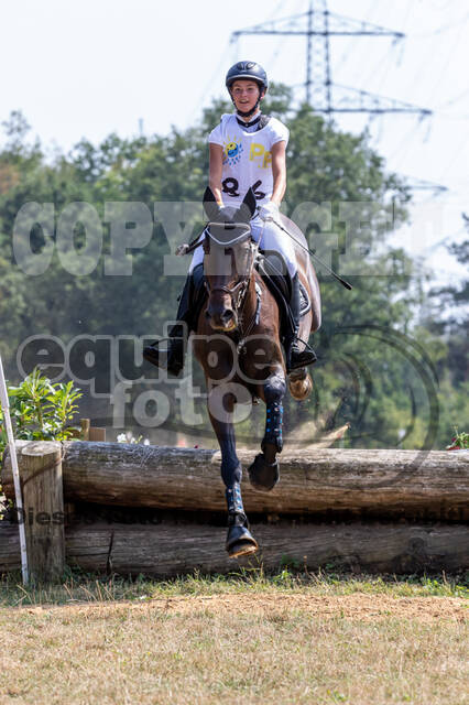 Late-Entry Vielseitigkeit Hamminkeln/Wesel (01.+02.08.2020)