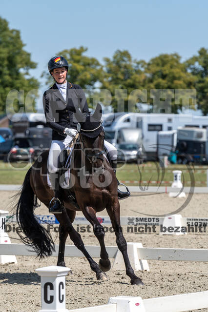 Kronenberg - De Peelbergen (August 2020)