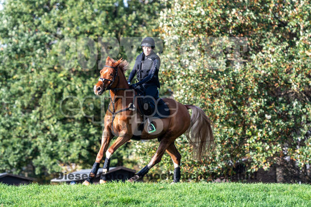 IGV Lehrgang der Sieger der Cups mit Frank Ostholt