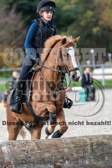 IGV Lehrgang der Sieger der Cups mit Frank Ostholt