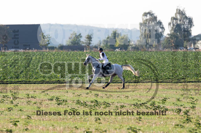 IGV Kleve