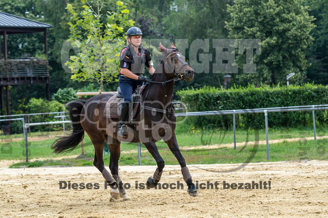 Hunter Geländetraining 10.07.2021 (Sonsbeck)