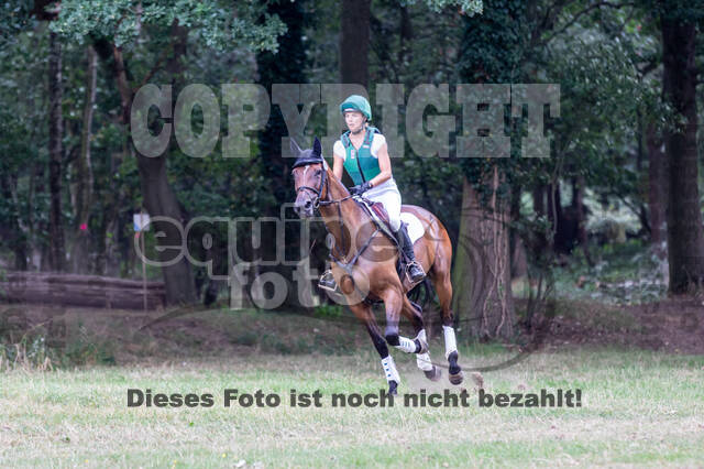 Late-Entry Vielseitigkeit Hamminkeln/Wesel (01.+02.08.2020)