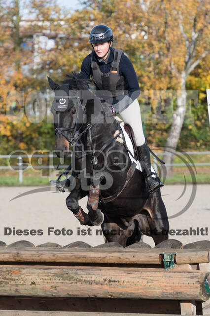 IGV Lehrgang der Sieger der Cups mit Frank Ostholt