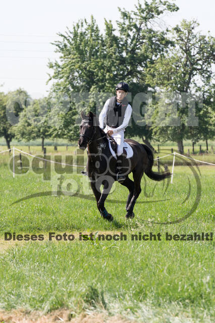 Vielseitigkeitsturnier ZRuFV von Lützow Hamminkeln