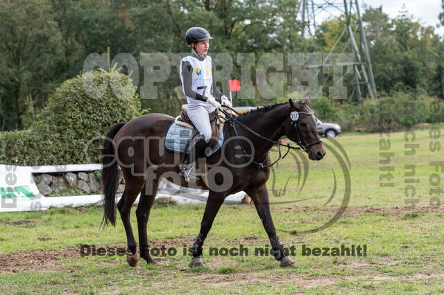 Vielseitigkeit RSV Wesel Obrighoven (26.+27.09.2020)