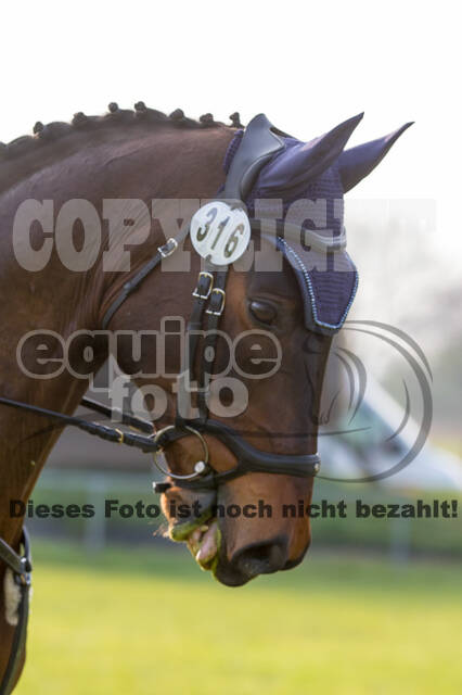 RV Seydlitz Kamp (06.+07.04.2019)