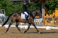 Westerstede Horse Trials 2021