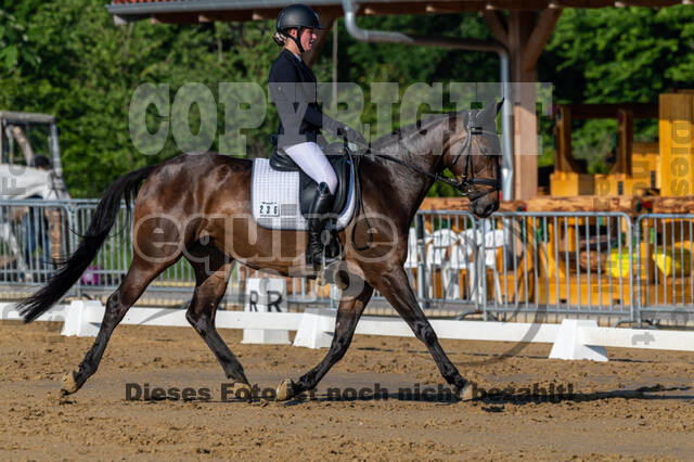 Westerstede Horse Trials 2021