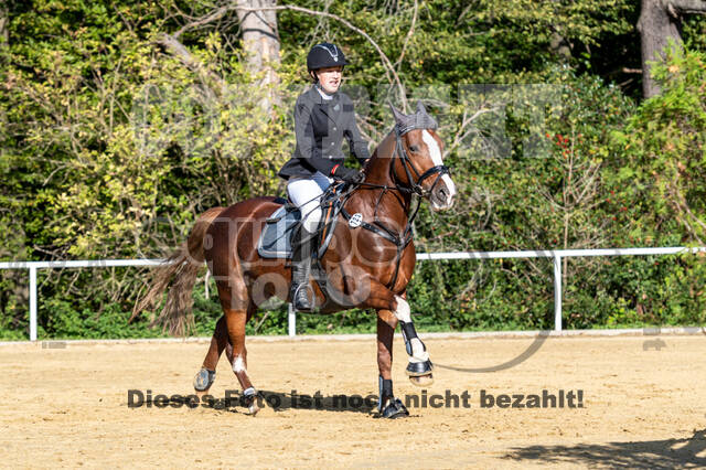 RFV Dinslaken-Hiesfeld (Herbstturnier)