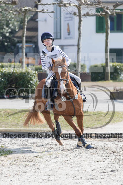 Eventing Langenfeld