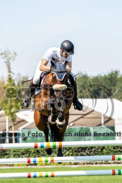 Kronenberg - De Peelbergen (August 2020)