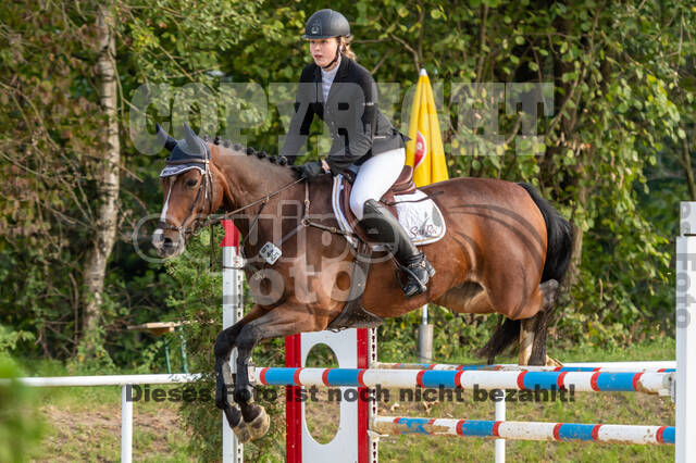 RFV Dinslaken-Hiesfeld (Herbstturnier)