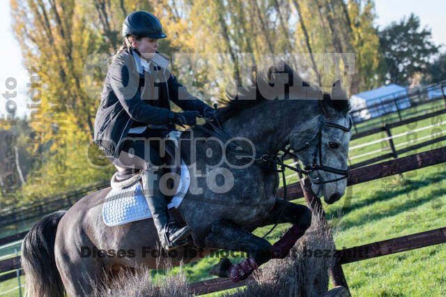 Vielseitigkeitslehrgang mit Jürg Kurbel (9.+10.11.2019)