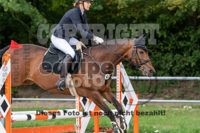 Late-Entry-Vielseitigkeit Langenfeld (06.+07.07.2020)