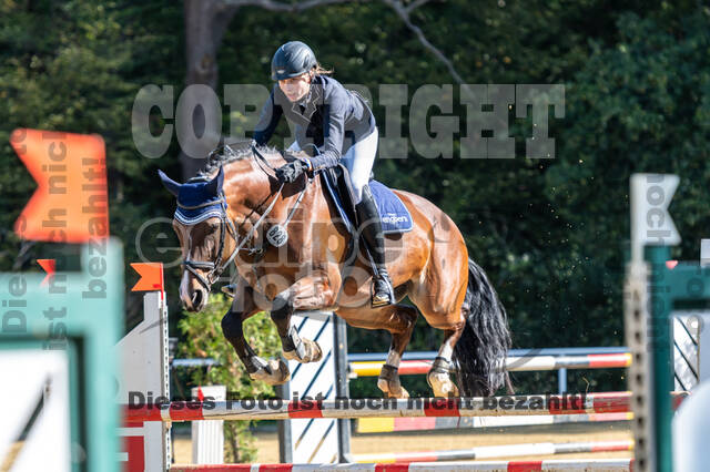 RFV Dinslaken-Hiesfeld (Herbstturnier)