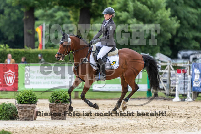 Goldene Schärpe 2021 - Ponys